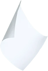 紙